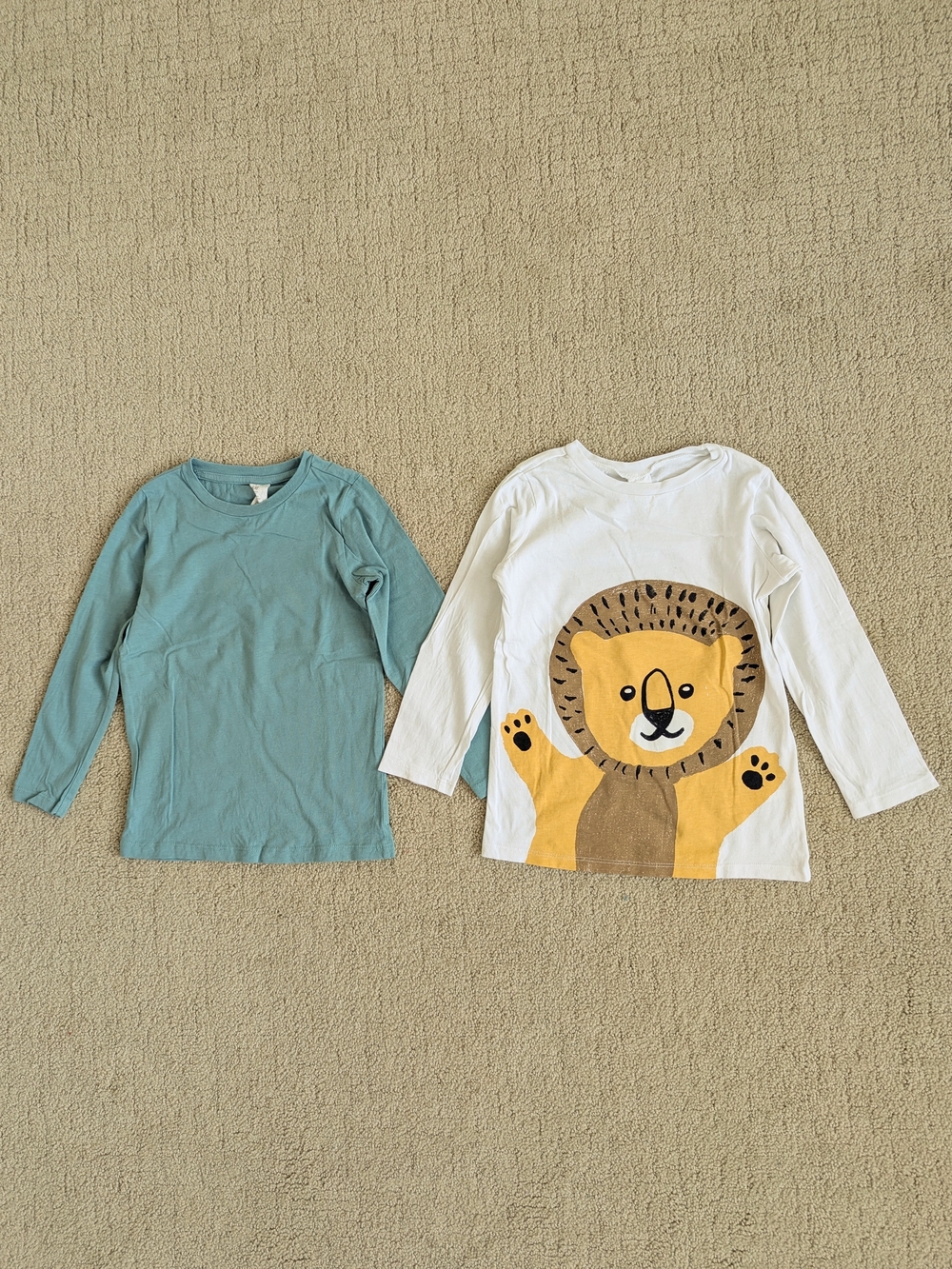 H&M Kids Long Sleeve Tee Set Of 2 4T Bundle Lion Minimalist Cotton Comfy Neutral